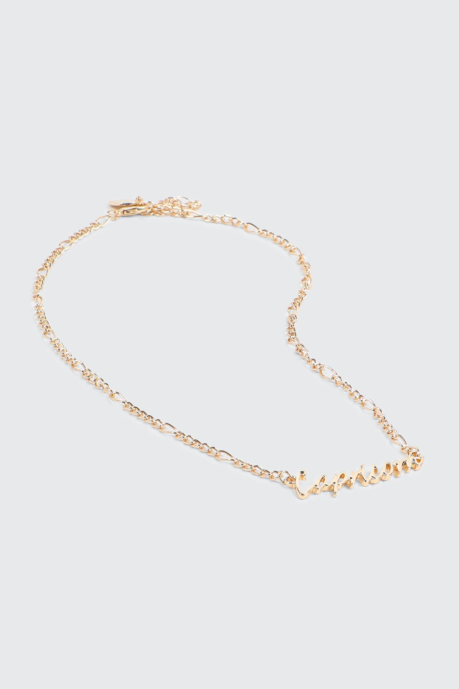 Capricorn Zodiac Chain Necklace - Image 2