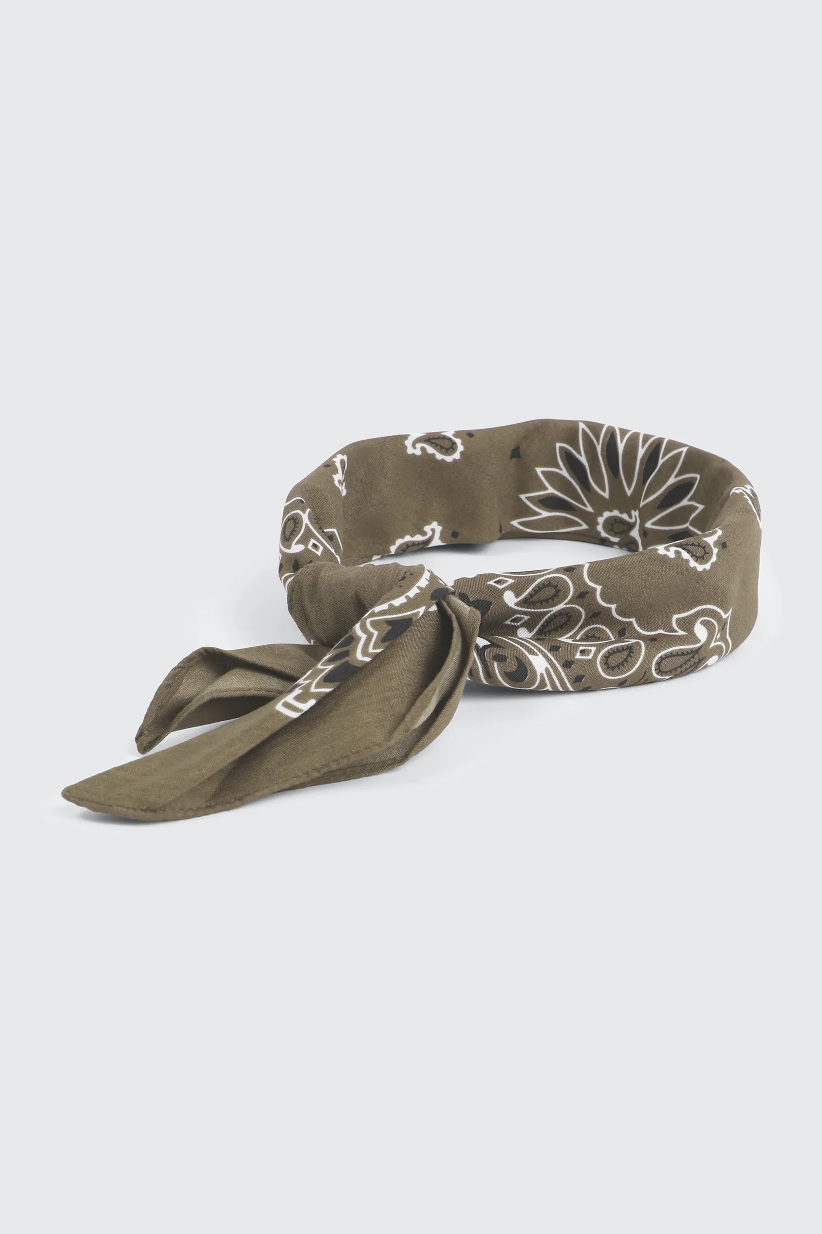 Paisley Bandana