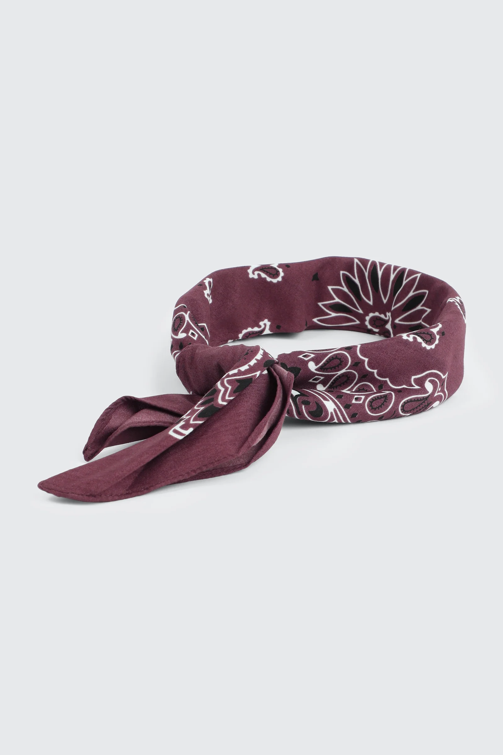 Paisley Bandana