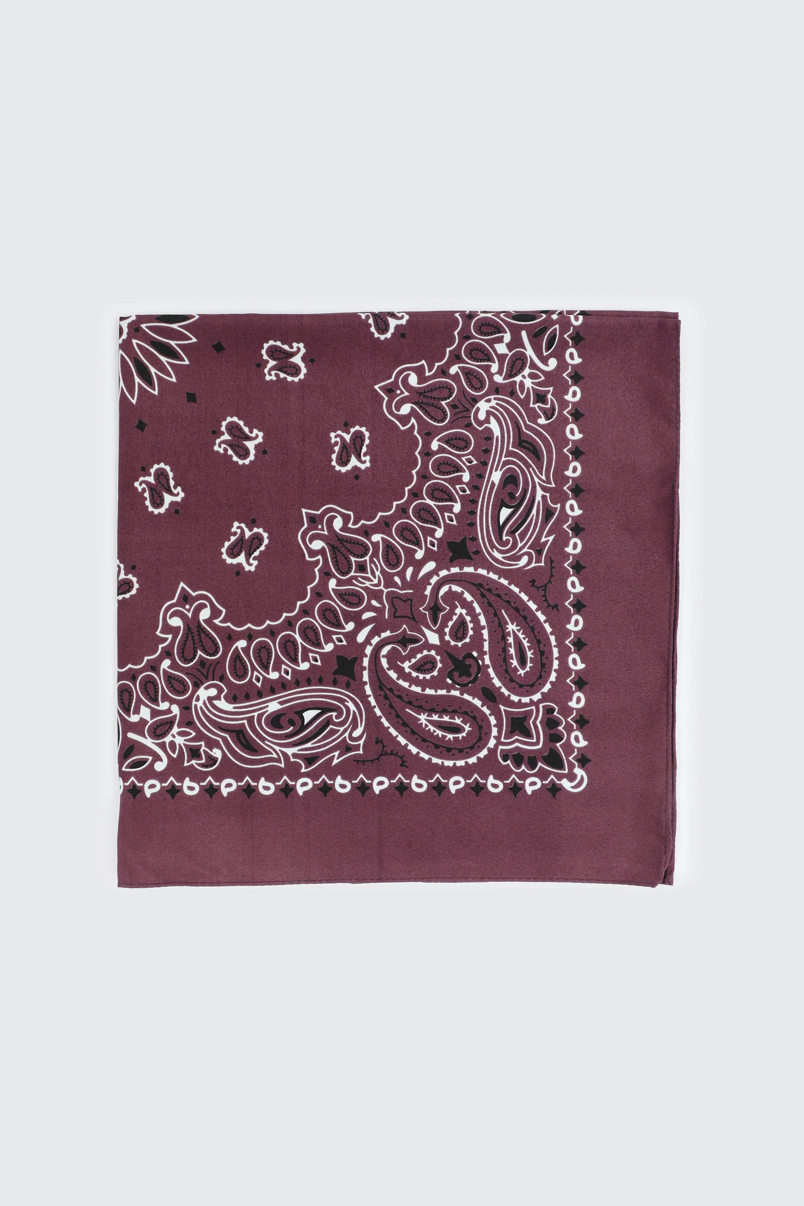 Paisley Bandana - Image 2