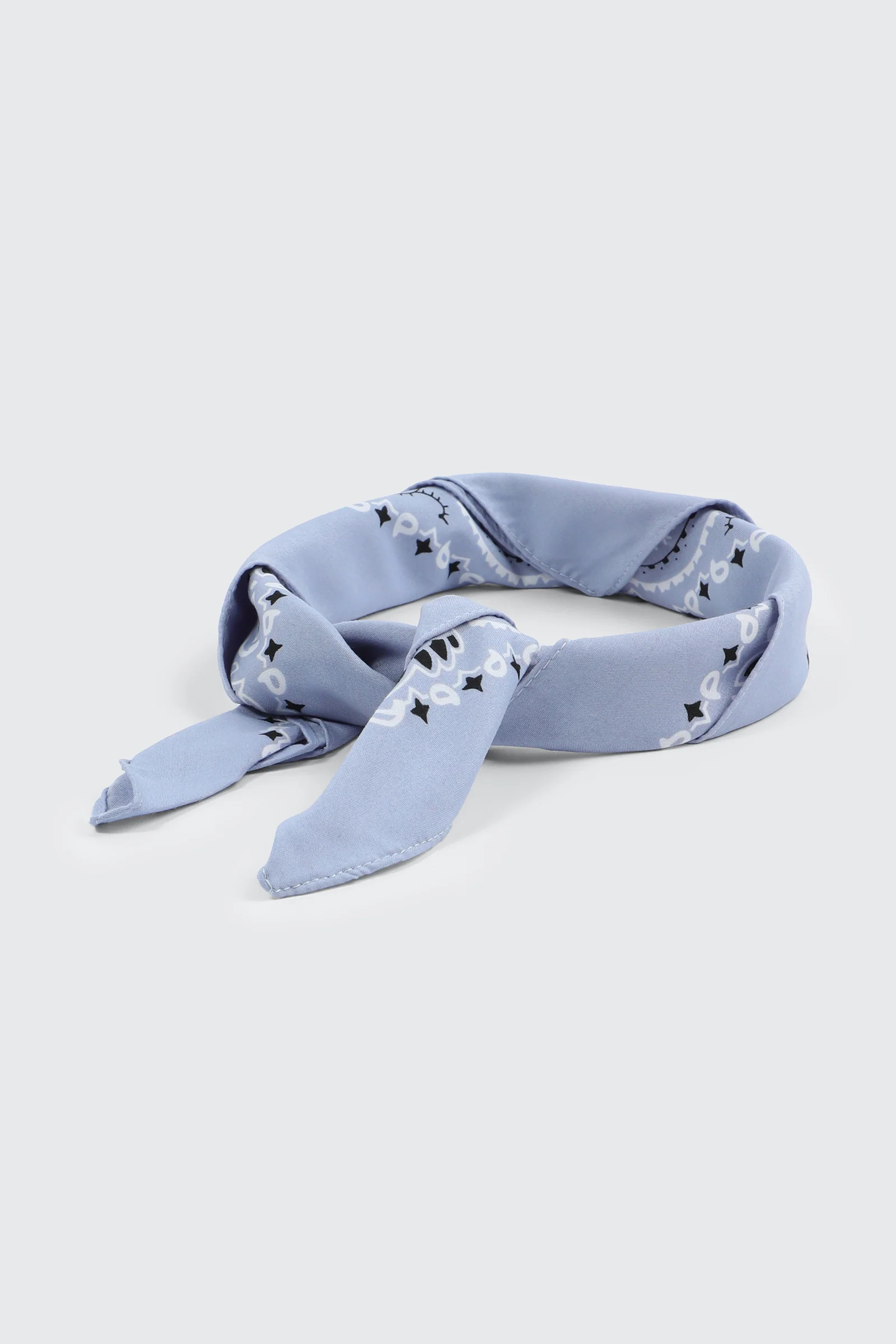 Paisley Bandana