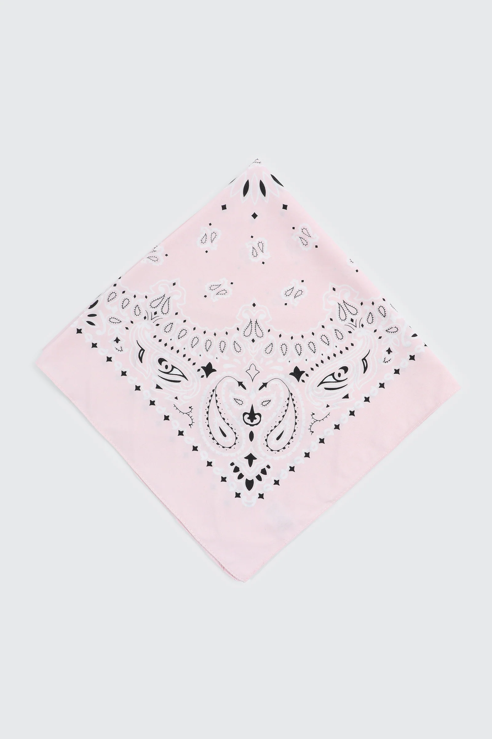 Paisley Bandana - Image 2