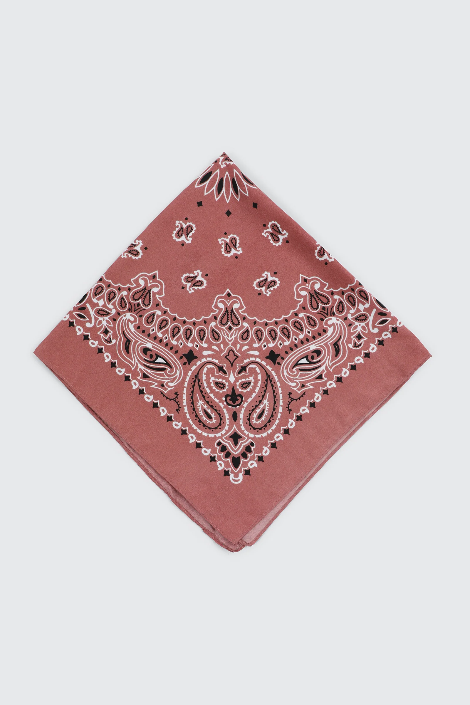 Paisley Bandana - Image 2
