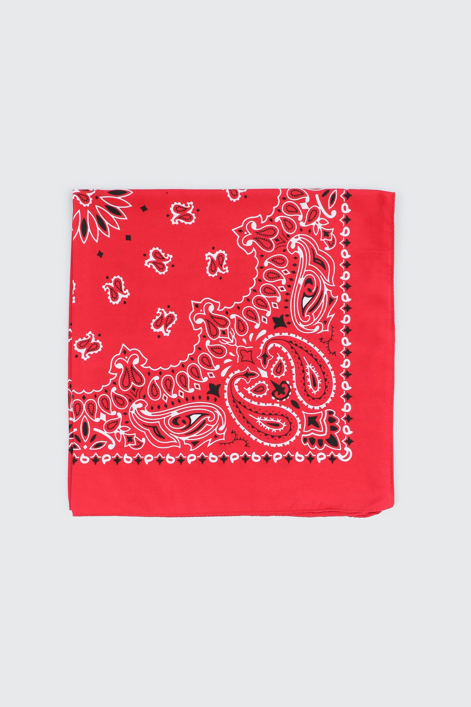 Paisley Bandana - Image 2